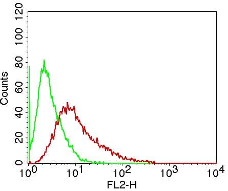 CASP14 / Caspase 14 Antibody