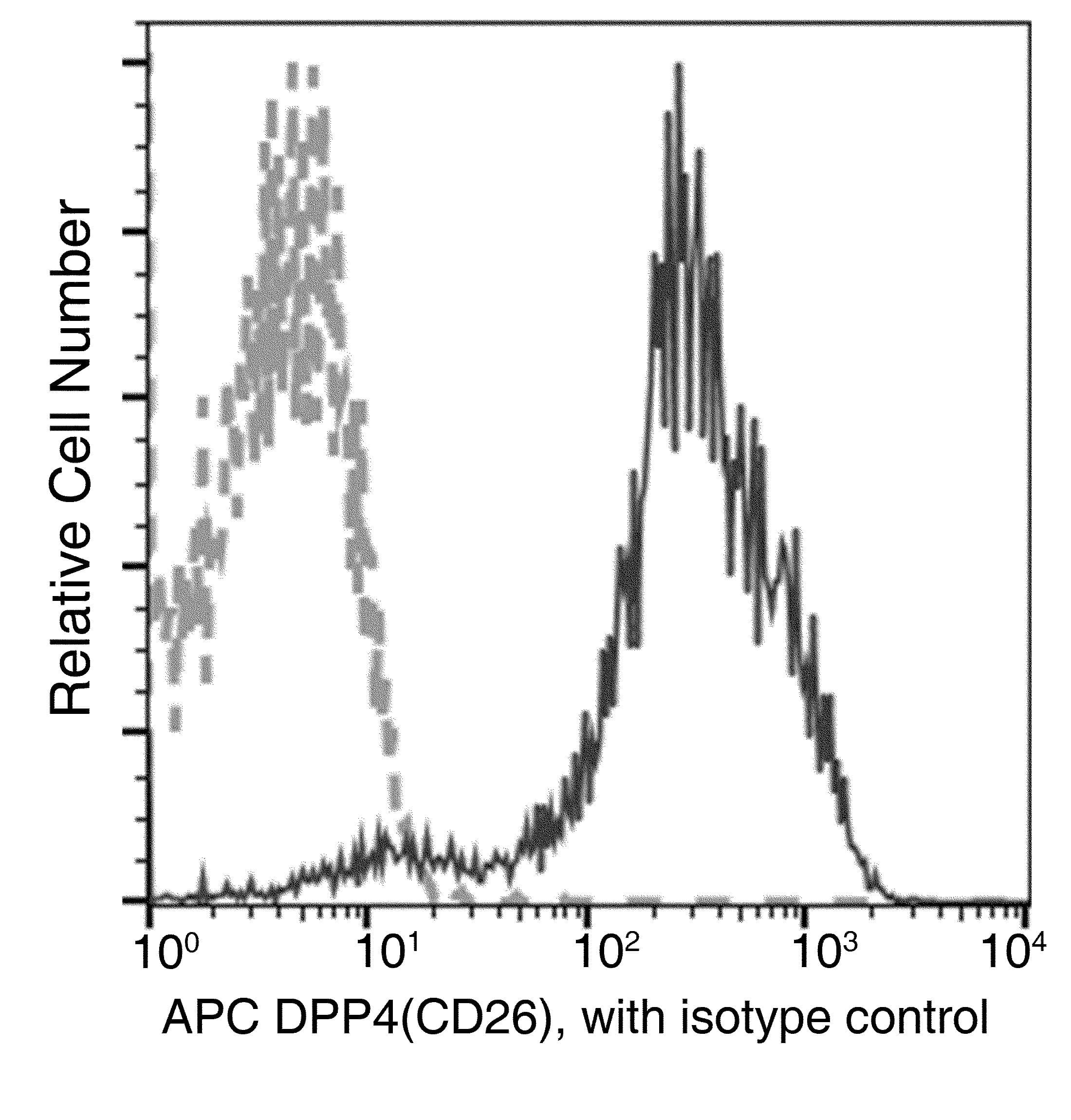 DPP4 / CD26 Antibody (clone 009, APC)