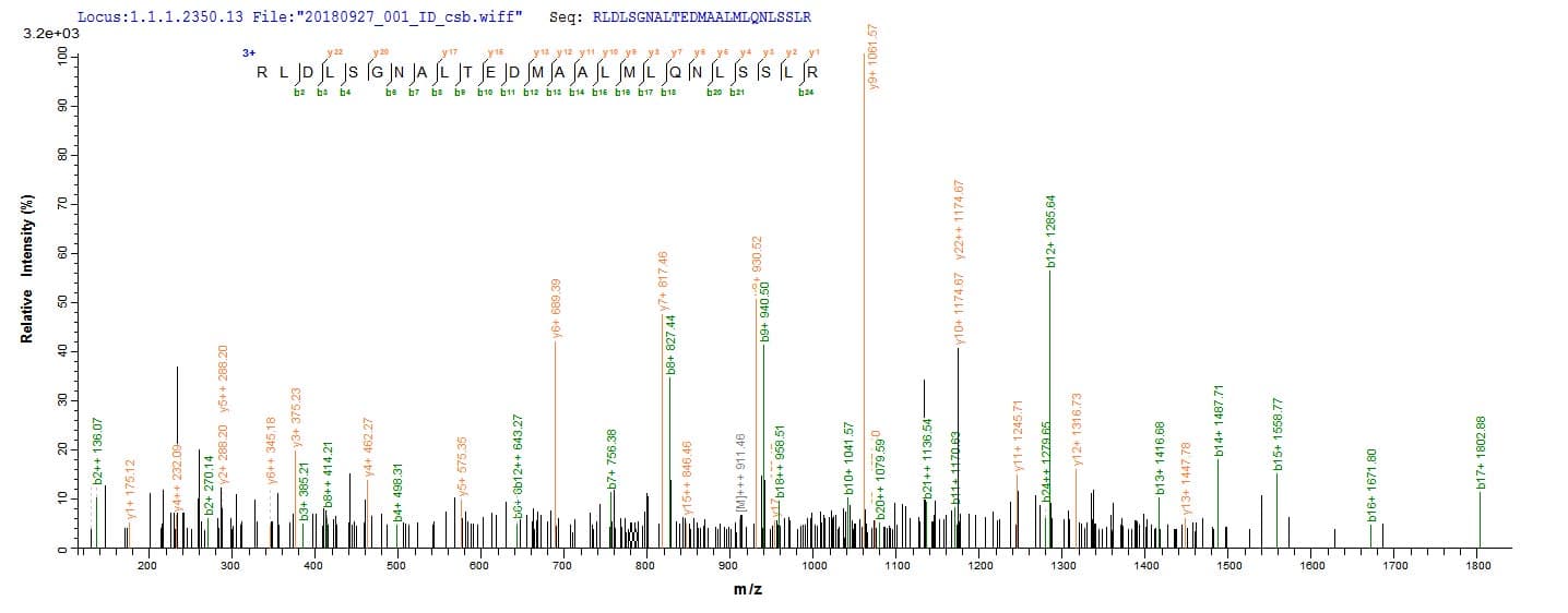 Human NRROS / LRRC33 Protein (Recombinant 10His, N-terminus + Myc, C-terminus)
