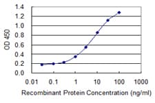 Monoclonal Mouse anti-Human ANKRD37 Antibody (clone 6E8, WB)