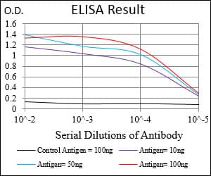 SDC1 / Syndecan 1 / CD138 Antibody (aa28-171, clone 1A3H4)