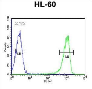 TNFSF11 / RANKL / TRANCE Antibody (aa1-30)