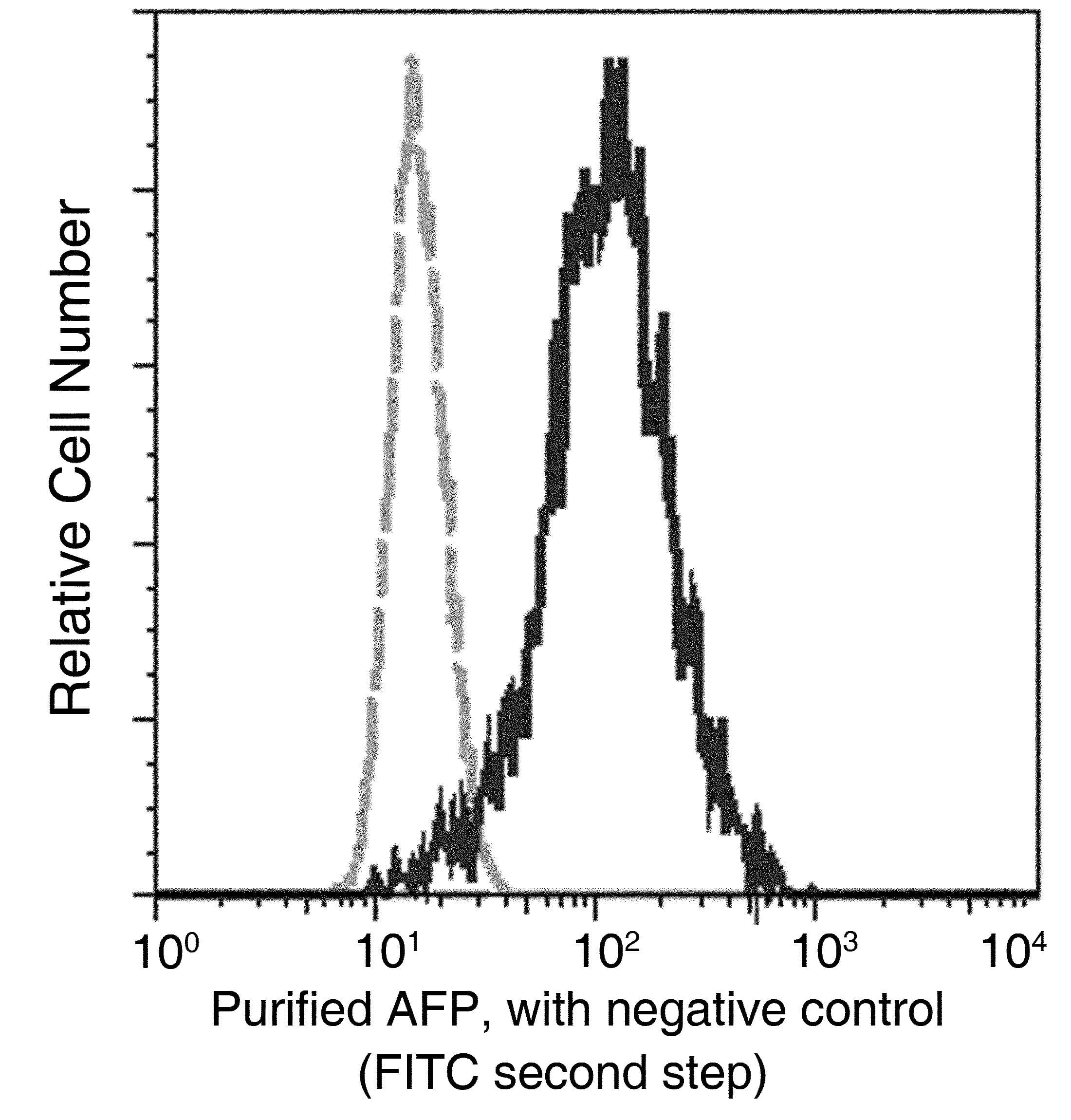 Monoclonal Mouse anti-Human Alpha-Fetoprotein Antibody (clone 35, Preservative Free)