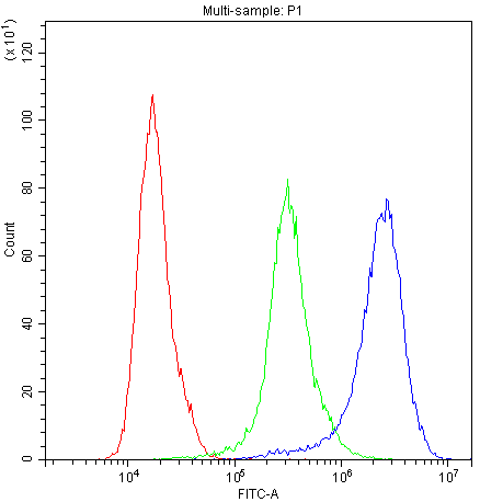 PPIA / Cyclophilin A Antibody