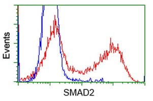 SMAD2 Antibody (clone OTI4G7)