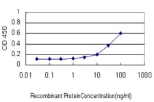 SMAD1 Antibody (clone 1D3)