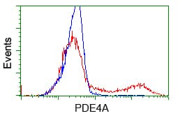 PDE4A / PDE4 Antibody (clone OTI5C6)