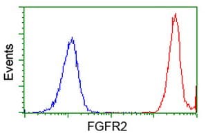 Monoclonal Mouse anti-Human FGFR2 / FGF Receptor 2 Antibody (clone OTI5F7, IF, WB)