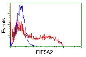 EIF5A2 Antibody (clone OTI6F7)