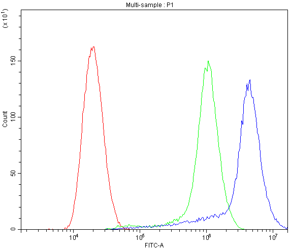 Polyclonal Rabbit anti-Human APLP1 / APLP-1 Antibody (aa82-112, IHC, WB)
