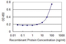 ZHX3 Antibody (clone 1D9)