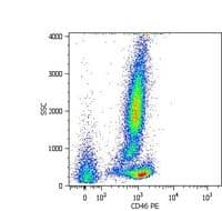 CD46 Antibody (clone MEM-258, APC)