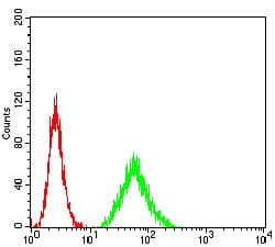 Monoclonal Mouse anti-Human HLA-B Antibody (clone 2G7B10, IHC, IF, WB)