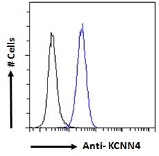 IHC-plus™ Polyclonal Goat anti-Human KCNN4 / KCa3.1 Antibody (aa227-239, IHC, IF, WB)