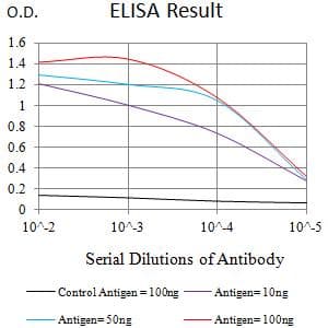 LRP1B Antibody (clone 8A8D12)