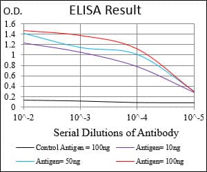 CD71 / Transferrin Receptor Antibody (aa608-727, clone 1A1B2)