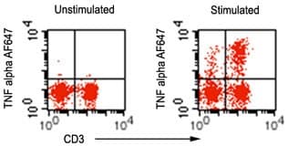 Monoclonal Mouse anti-Human TNF Alpha Antibody (clone 6N2E12, WB)