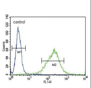 GABRA2 Antibody (aa378-406)