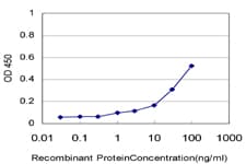 Monoclonal Mouse anti-Human PPA1 Antibody (clone 3B2, WB)