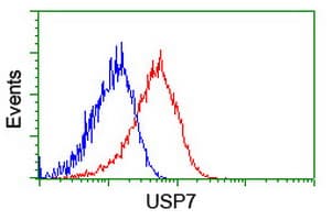 USP7 / HAUSP Antibody (clone OTI1F12, Carrier-free)