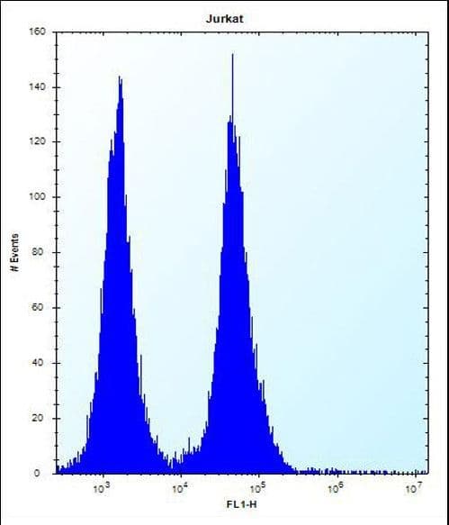 OR11L1 Antibody (aa279-308)