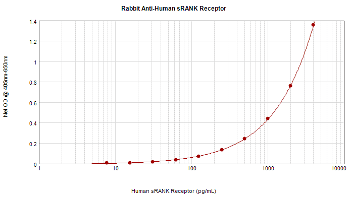 Polyclonal Rabbit anti-Human TNFRSF11A / RANK Antibody (WB)