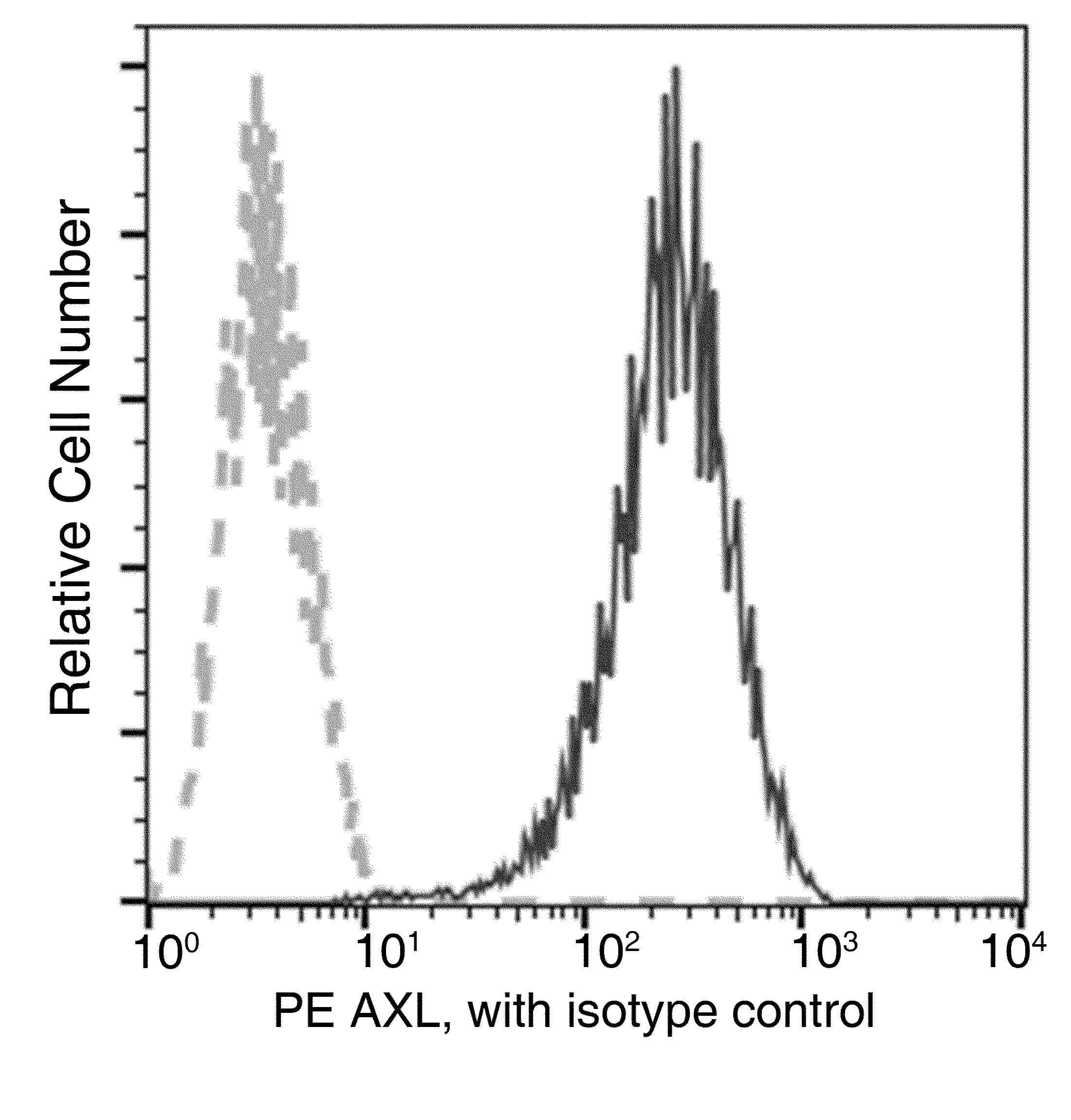 AXL Antibody (clone 101, PE)