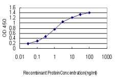 GT335 / ES1 Antibody (clone 1F5)