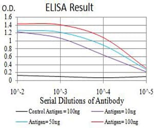 TFAP2B / AP2 Beta Antibody (clone 6E7H11)