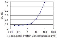 ZNF193 Antibody (clone 3G6)