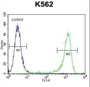MLH1 Antibody (aa452-480)