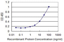 Monoclonal Mouse anti-Human PTTG1IP / PBF Antibody (clone 4C11, IF, WB)