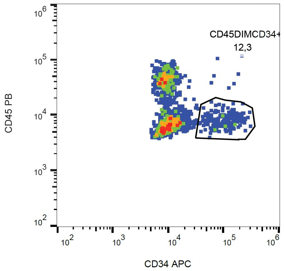 CD34 Antibody (clone 581, APC)