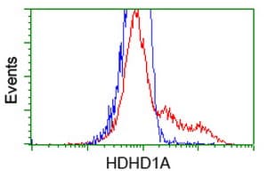 HDHD1 Antibody (clone OTI2E10, Carrier-free)