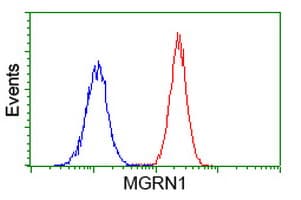 MGRN1 Antibody (clone OTI3A6)