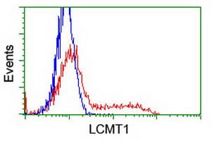 LCMT1 Antibody (clone OTI4A5, Carrier-free)