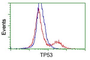 TP53 / p53 Antibody (clone OTI2E4, Carrier-free)