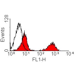 T Cells Antibody (clone KEN-5, FITC)