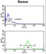 Complement C7 Antibody (aa375-403)
