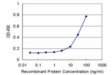 BMPR2 Antibody (clone 4A2)