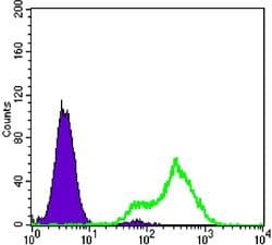 Monoclonal Mouse anti-Human I-FABP / FABP2 Antibody (clone 9A9B7B3, IHC, IF, WB)