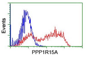 PPP1R15A / GADD34 Antibody (clone OTI3D12)