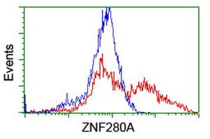 ZNF280A Antibody (aa1-333, clone OTI2H3, Carrier-free)