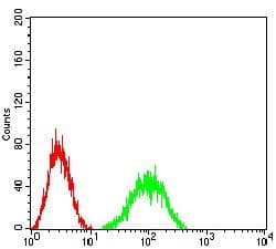 SLAMF6 / NTBA Antibody (clone 2F1C9)