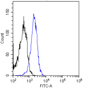 INSR / Insulin Receptor Antibody (Insulin Receptor alpha, clone 83-7)