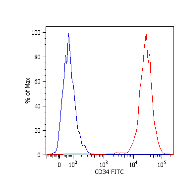 Monoclonal Mouse anti-Human CD34 Antibody (clone 4H11[APG], FITC, IHC, WB)