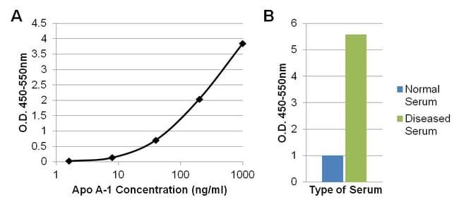 APOA1 / Apolipoprotein A 1 Antibody (clone 513)
