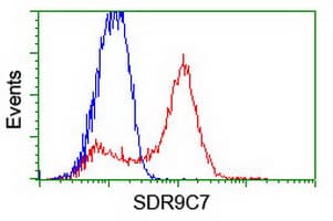 SDR9C7 Antibody (clone OTI10F11)