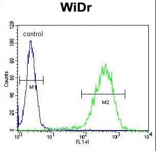 CHCHD2 Antibody (aa74-103)