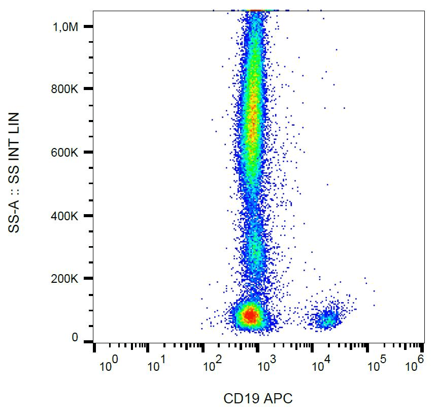 Monoclonal Mouse anti-Human CD19 Antibody (clone 4G7, APC)